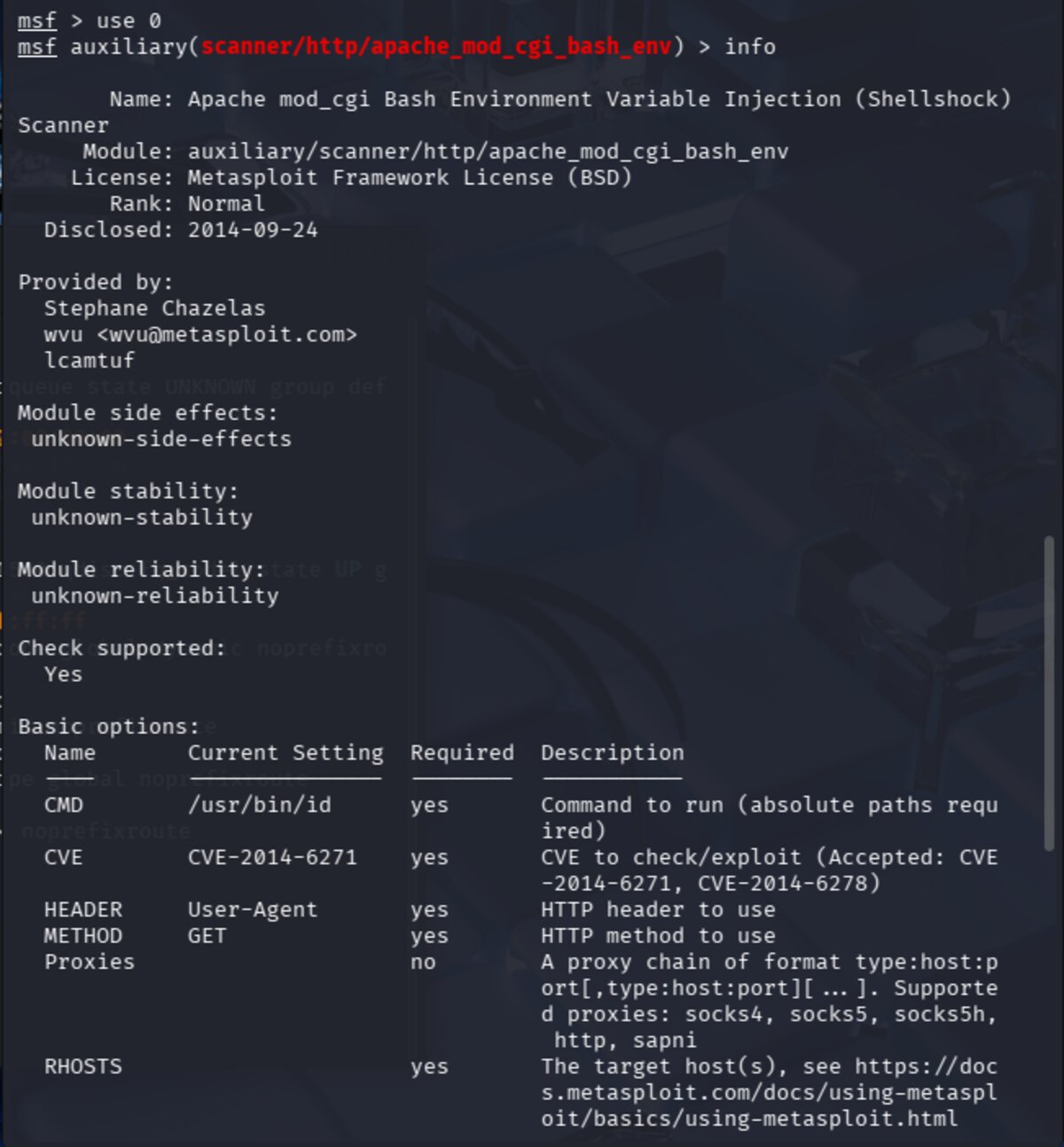 Module info output for apache_mod_cgi_bash_env scanner