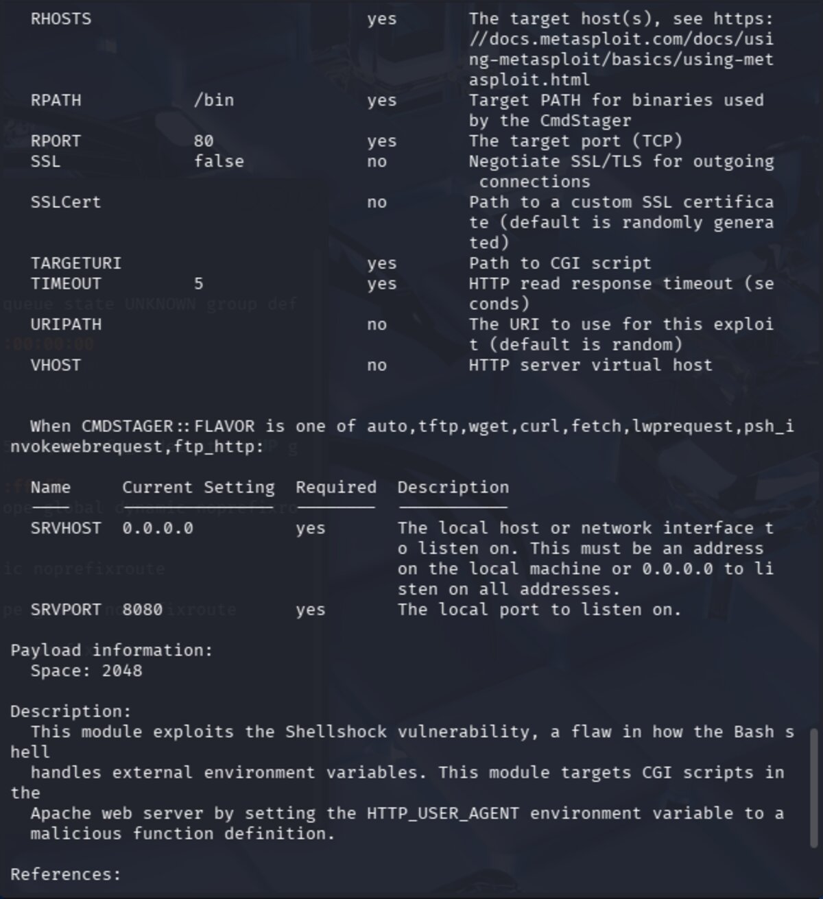 Exploit module info and options