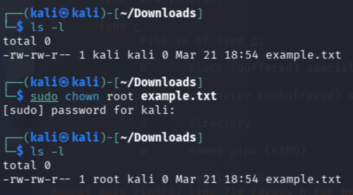 Using chown to change file ownership in the shell